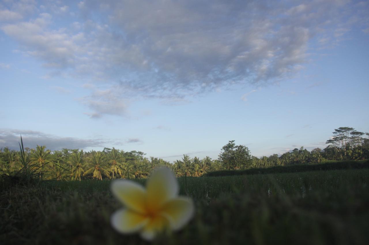 Tri Hita Karana House Hotel Mas  Buitenkant foto